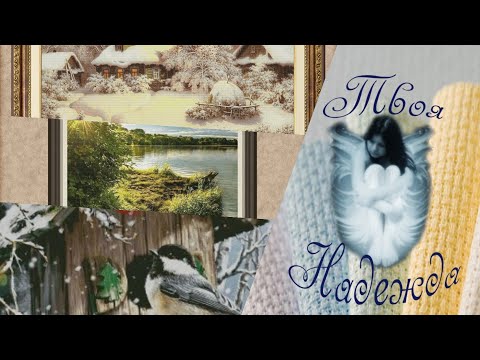 Видео: Вышивка 19.01-31.01 Вышивка многоцветок Golden Rose и Химера Вышивка крестом Classic Design