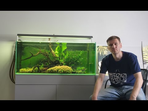 Видео: Бородоеды. Пять за и против