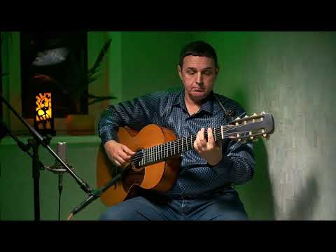 Видео: Андрей Кошель   Цыганская Венгерка