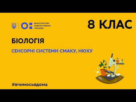 Видео: 8 клас. Біологія. Сенсорні системи смаку, нюху (Тиж.1:ВТ)