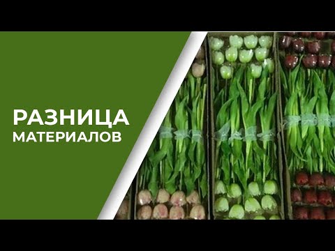 Видео: Чем  отличается силикон от латекса и ткани с силиконовой пропиткой | ПОЛНЫЙ ОБЗОР