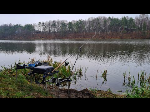Видео: Фидер в Преддверии Зимы / Ловля с Дальней Дистанции и Новый Способ Закорма / Часть 1