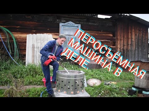 Видео: Убрали последнюю птицу. Что стало с гусем в перосьемной машине ?