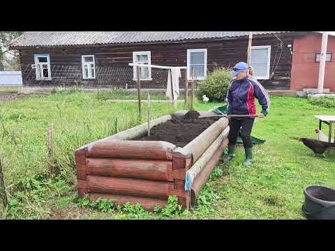 Видео: 21 октября 2025 г.