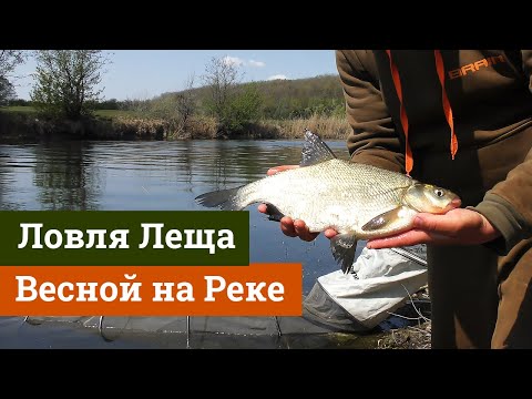 Видео: Ловля леща фидером на реке весной. Северский донец