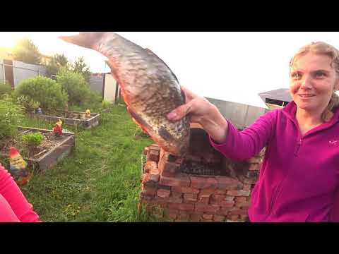 Видео: Семейные посиделки. Запеканка из фарша и мой любимый салат)))
