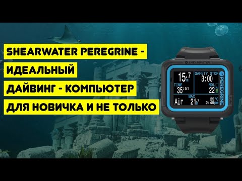 Видео: Shearwater Peregrine - идеальный дайвинг-компьютер для новичка и не только