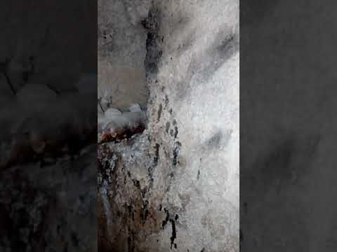 Видео: Жанаозен