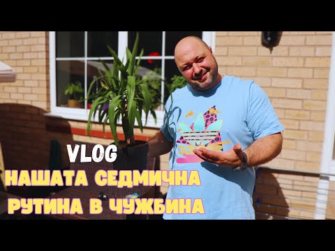 Видео: НАШАТА СЕДМИЧНА РУТИНА В ЧУЖБИНА | ДВАМА ОТ КУХНЯТА | СЪВЕТ КЪМ ВСИЧКИ МЪЖЕ