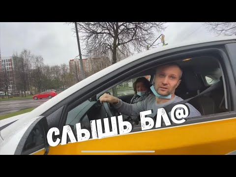 Видео: The быдло family