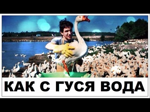 Видео: Галилео. Как с гуся вода