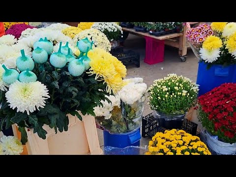 Видео: Цветы для мёртвых 