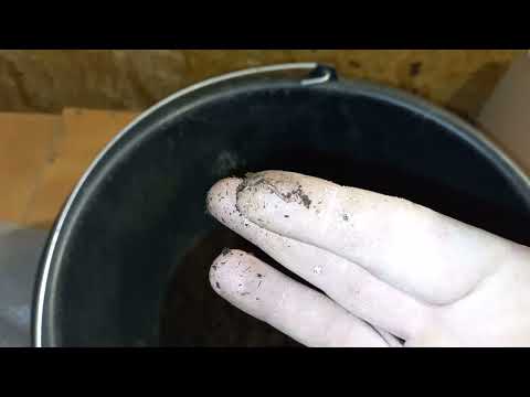 Видео: Выманивание – заманивание червя.