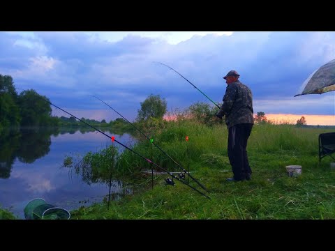 Видео: ЗАЇХАЛИ НА СТАРЕ МІСЦЕ ПОЛОВИТЬ НА КОРМАЧКИ. Рибалка на кормаки