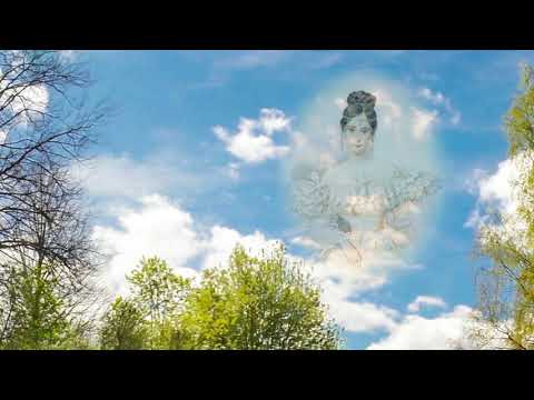 Видео: Видеожурнал «У нас в Михайловском и его окрестностях». Выпуск 37