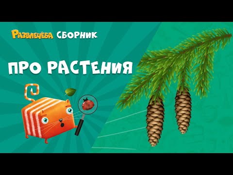 Видео: Развлечёба. Окружающий мир. Сборник про размножение растений.