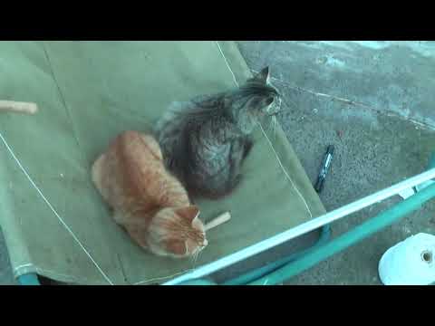 Видео: Ремонт садовых качелей! Легко и быстро!