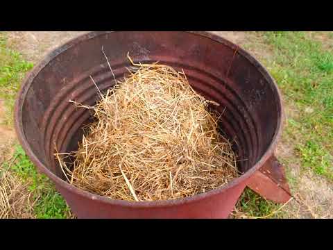 Видео: 38 день щенкам немецкой длинношерстной овчарки/ГЕНЕРАЛЬНАЯ УБОРКА в вольере