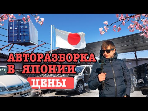 Видео: Авторазборка в Токио | запчасти из Японии | встреча с друзьями