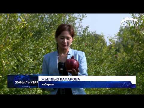 Видео: Анарды көп жесеңиз эмне болот?