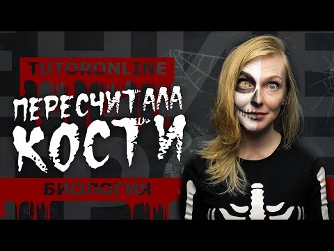 Видео: БиологияI Страшный урок или СКЕЛЕТ В ШКАФУ.