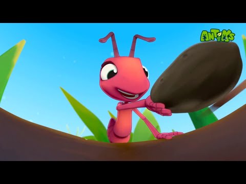 Видео: Муравьишки | Хлопковые Приятели | Смешные Мультики Для Детей
