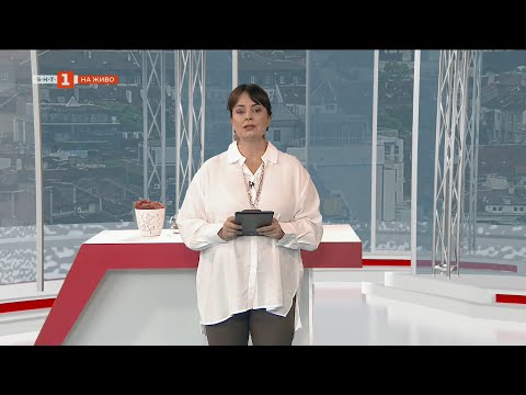 Видео: Предложение към бизнеса да поема грижата за градски зелени пространства - "България в 60 минути"