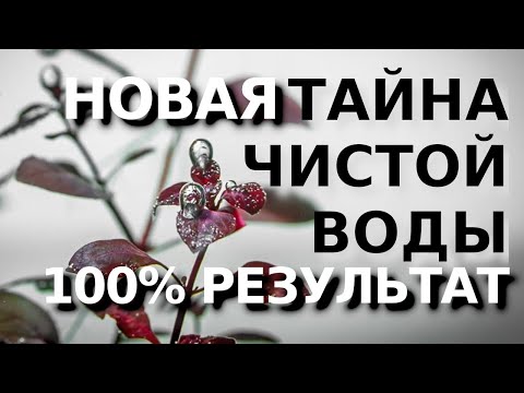 Видео: ТАЙНА КРИСТАЛЬНО ЧИСТОЙ ВОДЫ 100% РЕЗУЛЬТАТ