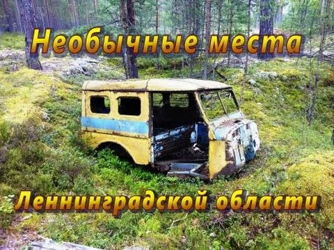 Видео: Тайны Ржевского  полигона.  ДОТ №1