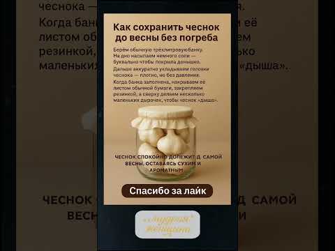 Видео: Как сохранить чеснок 🧄👌
