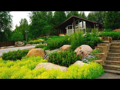 Видео: Идеи для ландшафтного дизайна и благоустройства участка /Decor and design Ideas for landscape design