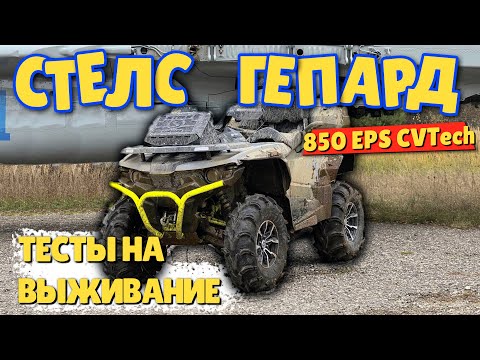 Видео: СТЕЛС ГЕПАРД 850. ТЕСТЫ НА ВЫЖИВАНИЕ