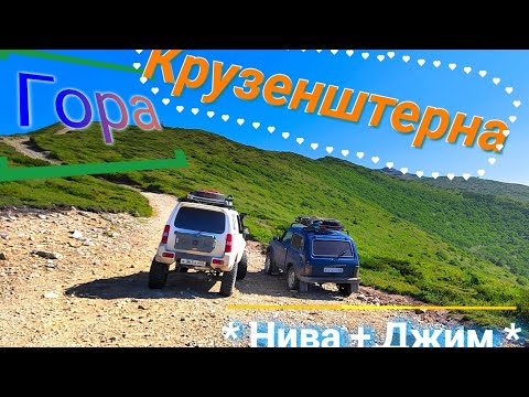 Видео: о. Сахалин. Нива на горе Крузенштерна.