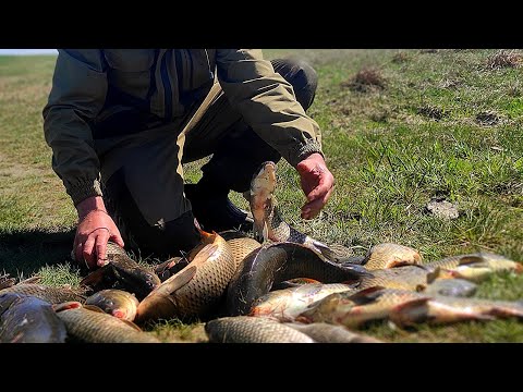 Видео: ВОТ ЭТО РЫБАЛКА! БЕШЕНЫЙ КЛЁВ САЗАНА! Рыбалка на донки,кормушки.Рыбалка 2024