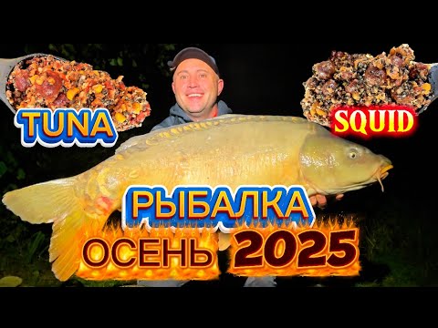 Видео: СПОМБ РАКЕТА + PVA STICK = ТРОФФЕЙНЫЙ CARP! Секретная тактика!