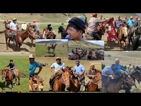 Видео: Улак Саз жайлоосу 4-август