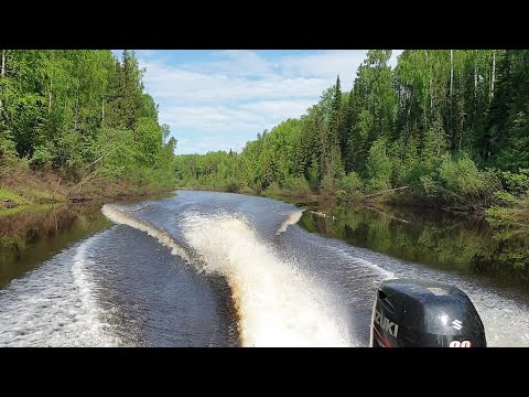 Видео: Рыбалка на Южной Кельтме и Лопье