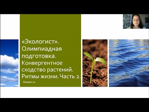 Видео: Подготовка к олимпиаде. Лекция 10. Конвергентное сходство растений. Ритмы жизни. Часть 2.