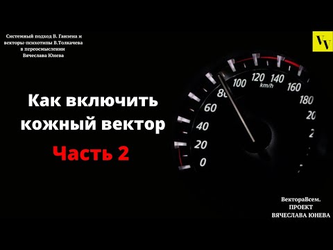 Видео: Активация кожного вектора. Часть 2. ВектораВсем. Проект Вячеслава Юнева