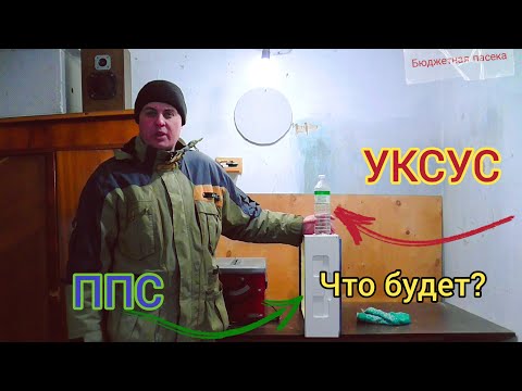 Видео: Залил УКСУС на ППС улей! Что произошло с ним?