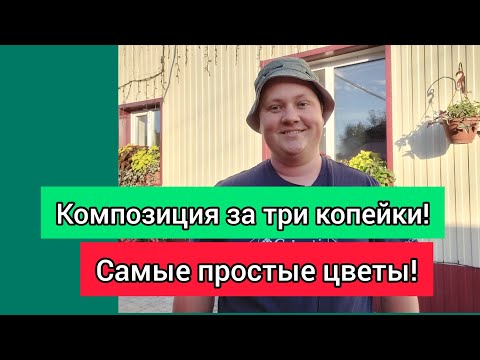 Видео: Сам не ожидал такой красоты!