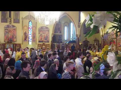 Видео: Неделя 20-я по Пятидесятнице. МИТРОПОЛИЧЬЯ Божественная Литургия (26.10.2025)
