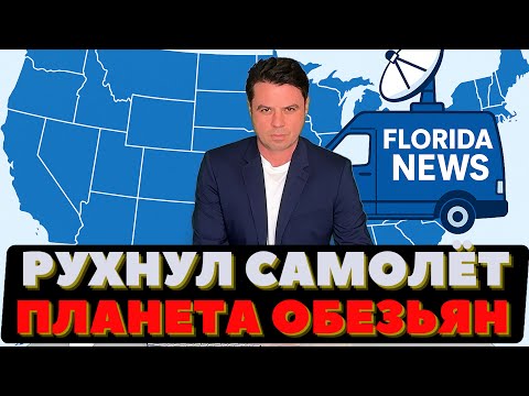 Видео: Самолёт упал. Обезьяны сбежали. Криминал в Чикаго. Губер Кали.
