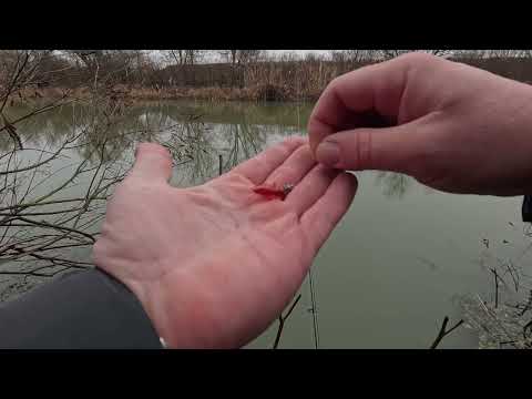 Видео: Как ловить Всегда! Поговорим...