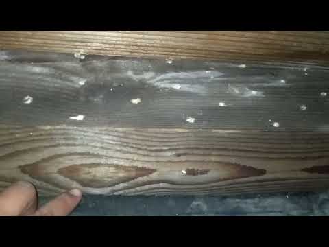 Видео: Антисептик Lignofix (Лигнофикс),  через три недели после применения. Не помогло.