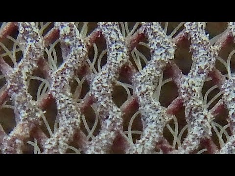Видео: Наждачные бумаги. 2 часть. Самозатачивание и режимы шлифования.