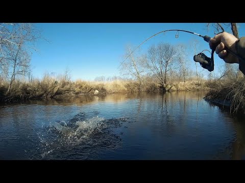 Видео: ФОРЕЛЬ НА ВЕРТУШКУ ♦ JÕEFORELL PÖÖRLEVAGA ♦ TROUT FISHING