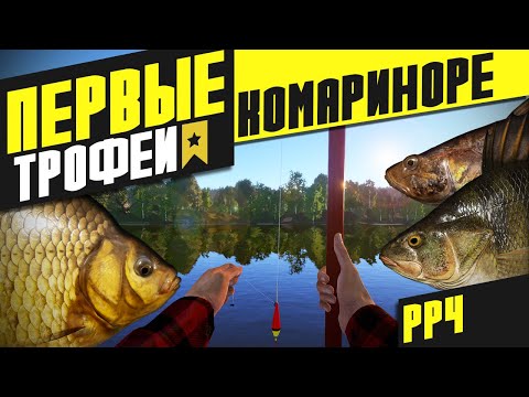 Видео: Первые трофеи - Комариное (Русская рыбалка 4)