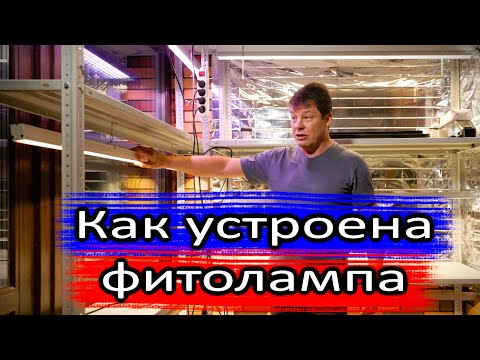 Видео: Как устроена фитолампа для растений