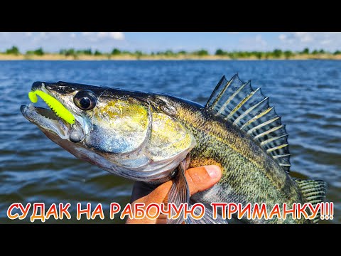 Видео: Где сейчас ловить судака? Джиг. Эта приманка ловит!!!